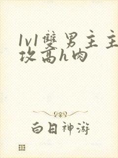 1v1双男主主攻高h肉