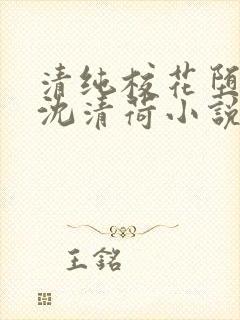 清纯校花堕落记沈清荷小说笔趣阁最