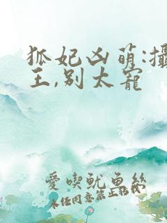 狐妃凶萌:摄政王,别太宠