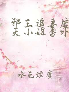 邪王追妻废材逆天小姐番外篇