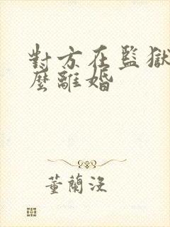 对方在监狱里怎么离婚