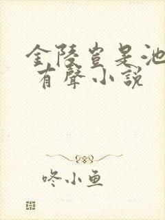 金陵岂是池中物 有声小说