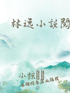林逸小说阅读