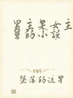 男主是女主的舅舅的小说
