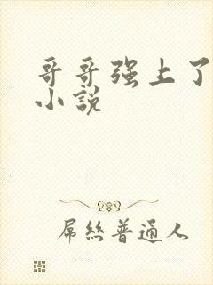 哥哥强上了弟弟小说