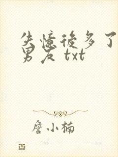 失忆后多了的前男友 txt