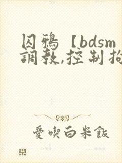囚鸦【bdsm调教,控制拘束】