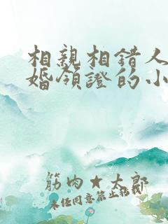 相亲相错人还闪婚领证的小说