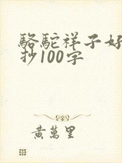 骆驼祥子好段摘抄100字