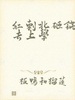 红刺北砸锅卖铁去上学