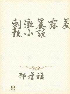 刺激暴露羞耻调教小说