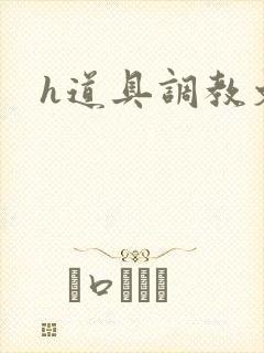 h道具调教文