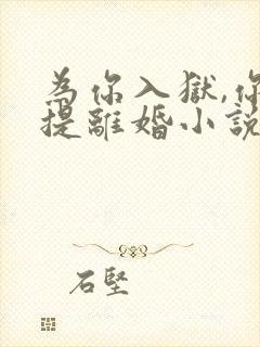 为你入狱,你却提离婚小说