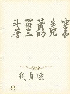 斗罗萧炎穿越成唐三的兄弟