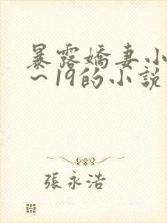 暴露娇妻小婷1～19的小说