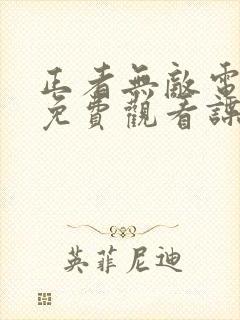 正者无敌电视剧免费观看谍迷