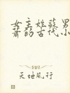 女主姓苏男主姓萧的古代小说