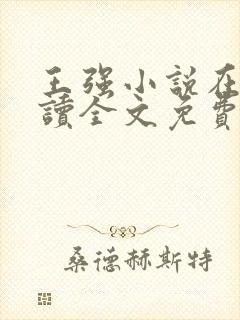 王强小说在线阅读全文免费