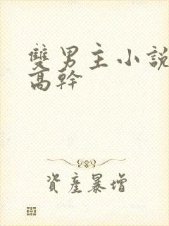 双男主小说现代高干