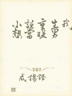 小说重生我真没想当暖男