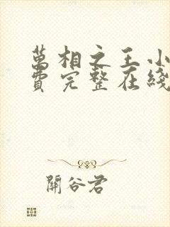 万相之王小说免费完整在线阅读