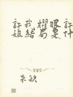 许我耀眼许妍姐姐结局是什么