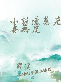 小说亿万老公宠妻无度