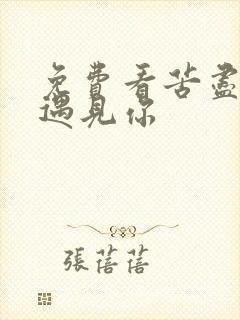 免费看苦尽甘来遇见你