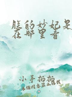 朕的妙妃是暴君在哪里看