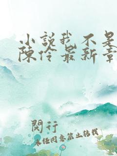 小说我不是戏神陈伶最新章节列表列表