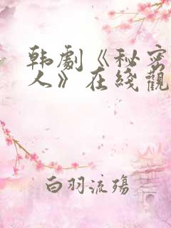 韩剧《秘密的男人》在线观看