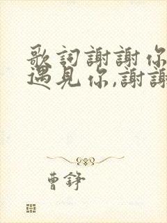 歌词谢谢你让我遇见你,谢谢你让我爱上你