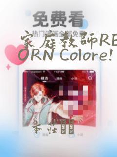 家庭教师REBORN Colore! 画集：结局+番外