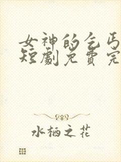 女神的乞丐老公短剧免费完整版