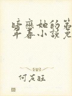 暗恋她的第十一年春小说免费阅读