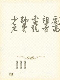 少帅电视剧全集免费观看高清