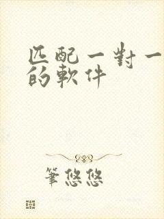 匹配一对一聊天的软件