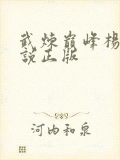 武炼巅峰杨开小说正版