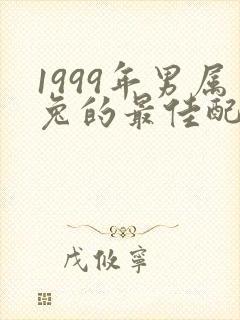 1999年男属兔的最佳配偶属相