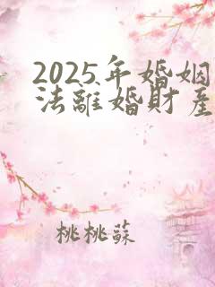 2025年婚姻法离婚财产分割