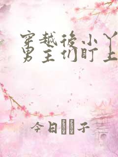 穿越后小丫鬟被男主们盯上免费阅读