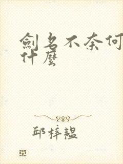 剑名不奈何讲的什么