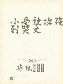 小受被攻强制爱到哭文