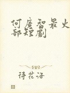 何广智最火的5部短剧