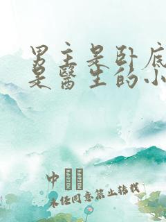 男主是卧底女主是医生的小说