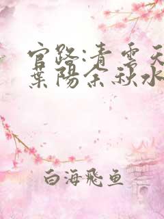 官路:青云天骄叶阳余秋水全文