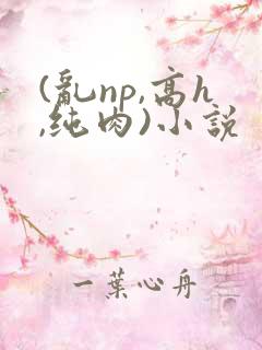 (乱np,高h,纯肉)小说