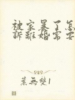 被家暴了怎么起诉离婚需要带什么东西