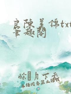 良陈美锦txt笔趣阁