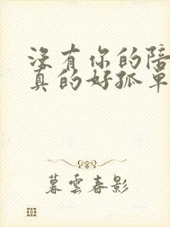 没有你的陪伴我真的好孤单伴奏